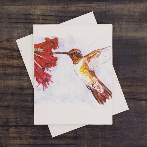 Single Greeting Card Hummingbird Sketch