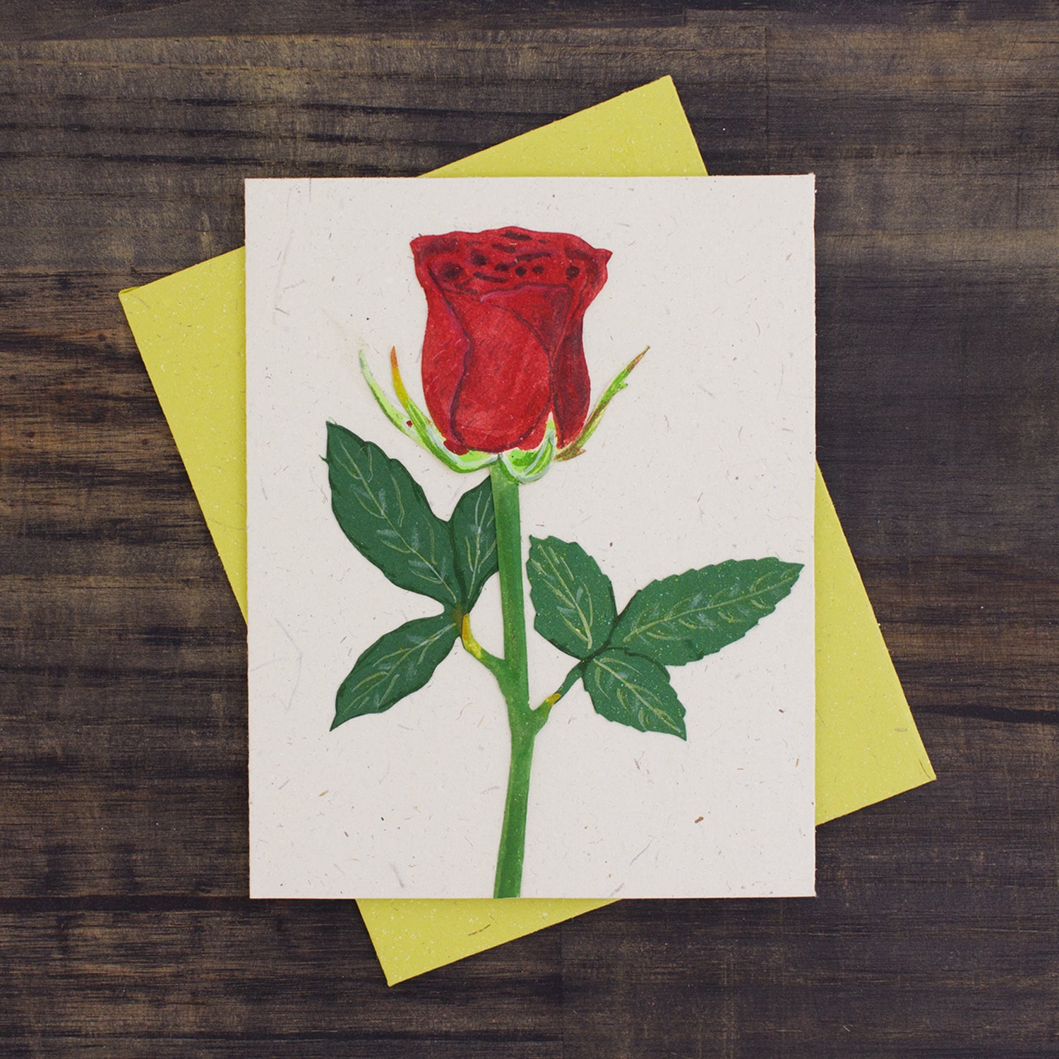 Single Greeting Card Rose Flower Natural White