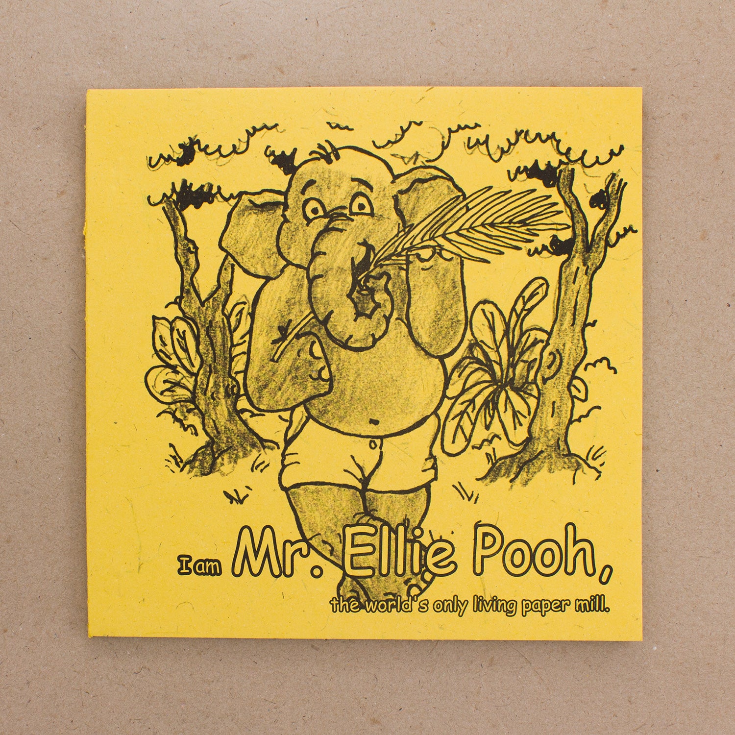 Mr. Ellie Pooh Story Coloring Book
