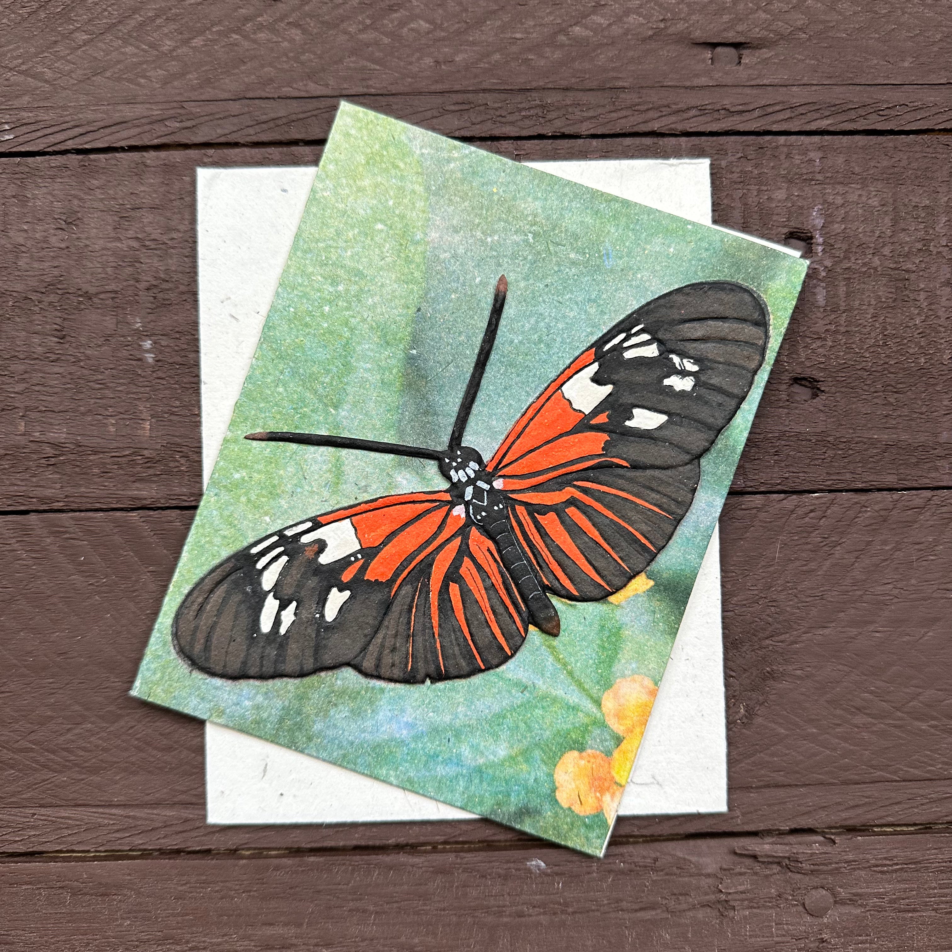 Single Greeting Card Butterfly Blk/r