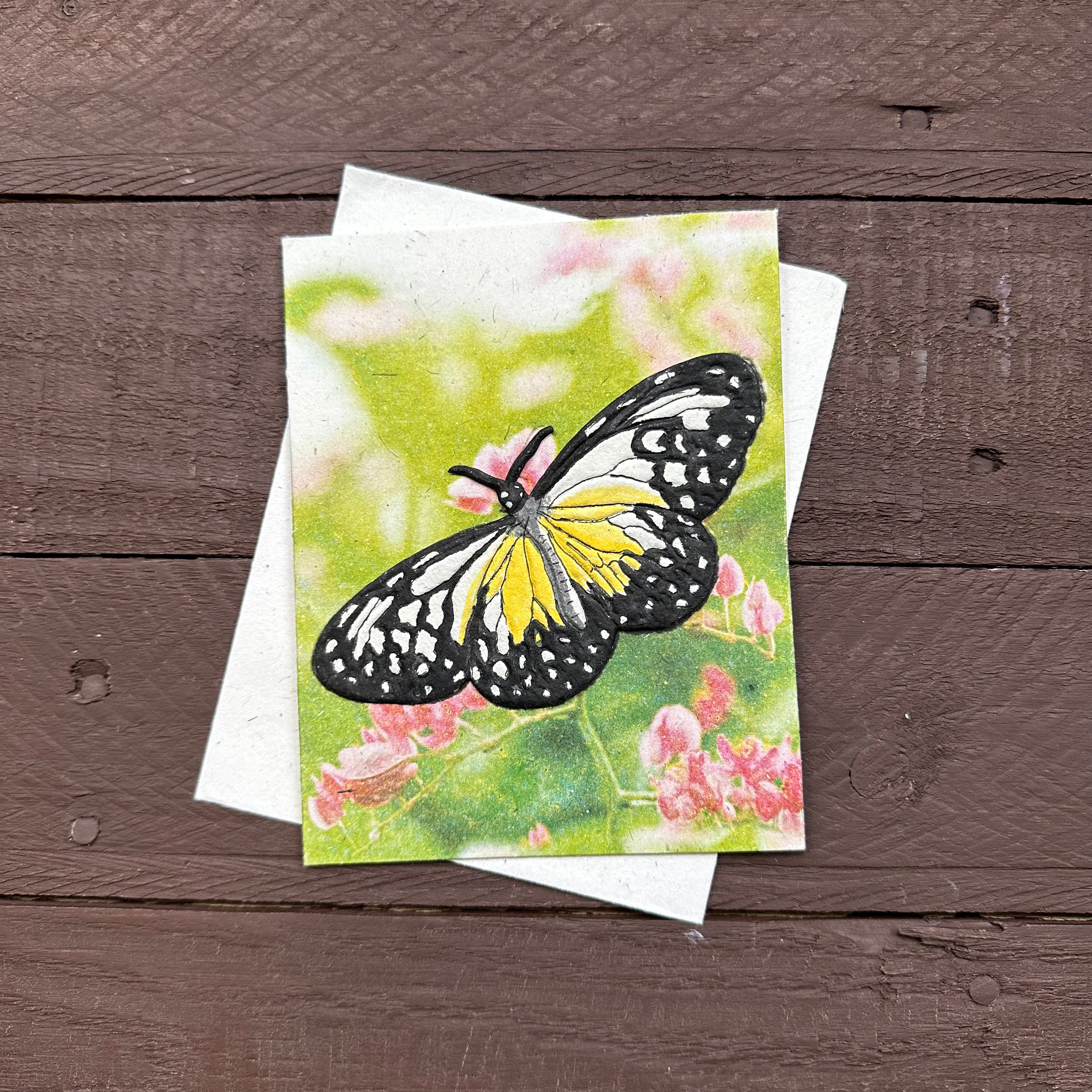 Single Greeting Card Butterfly Wht/y