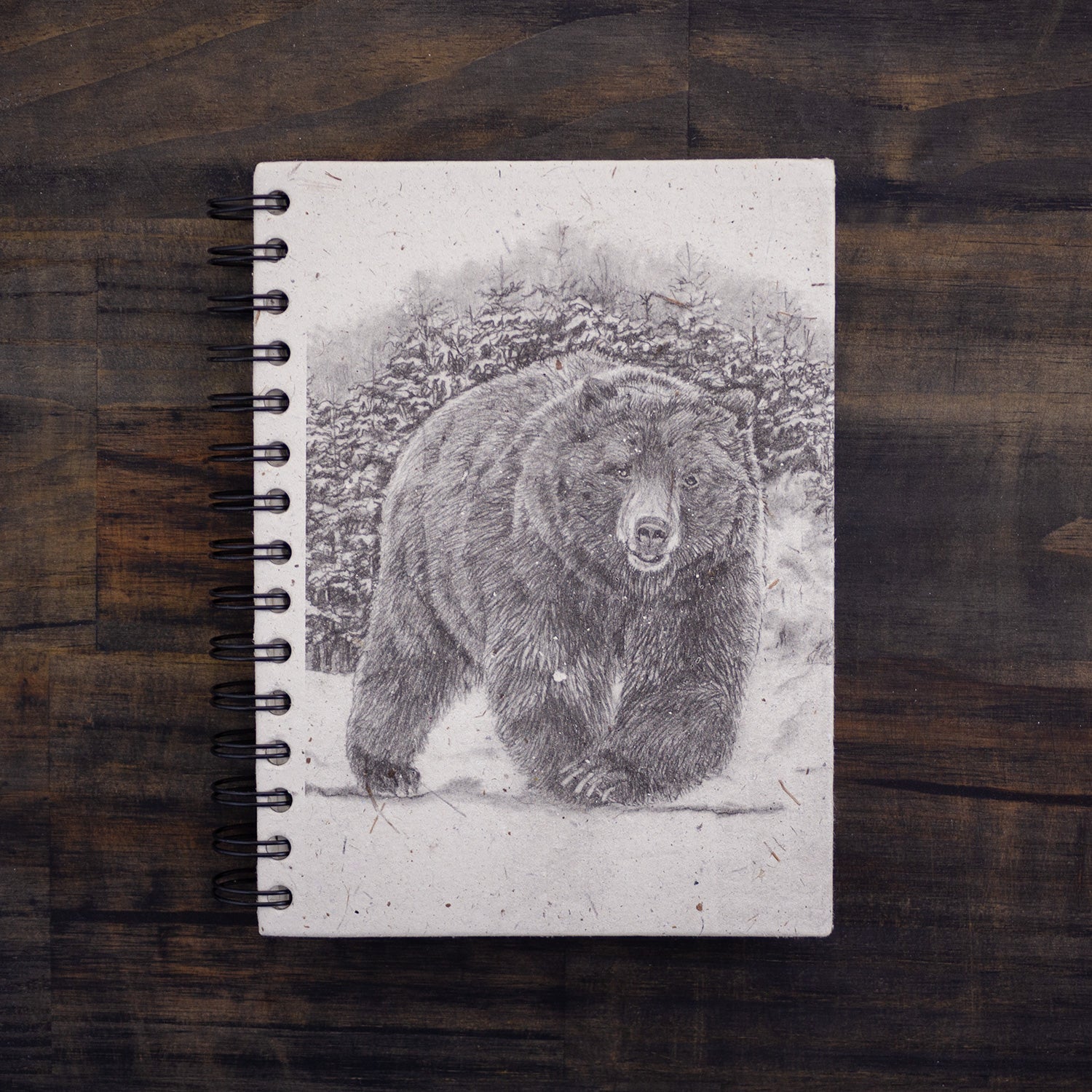 Large Notebook Grizzly Bear Sketch