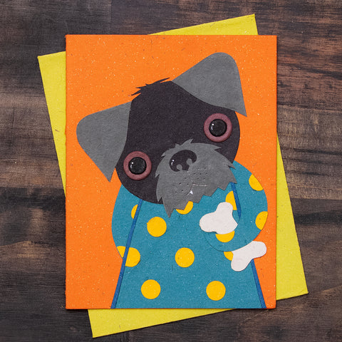 Single Greeting Card Sheila the Schnauzer Orange